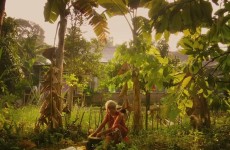 Bafici_15_08_01